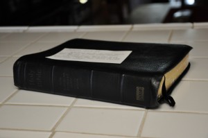 DSC_0042 (800x531)